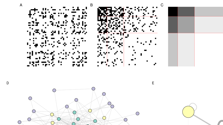 Statistical learning of collections of networks with applications in ecology and sociology